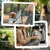 PawHut - Chariot Pliable Animaux Multi-Accessoires H.97 cm - Gris PawHut - Chariot Pliable Animaux Multi-Accessoires H.97 cm - Gris