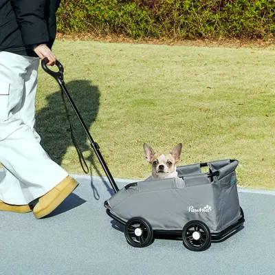 PawHut - chariot chien poignée télescopique PawHut - chariot chien poignée télescopique