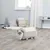 Griffoir rouleau 27 x 39 cm pour chat Griffoir rouleau 27 x 39 cm pour chat