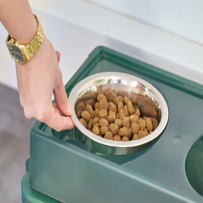 Gamelle Surélevée avec boite à croquette hermétique, 2 bols amovibles