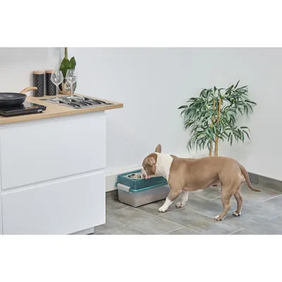 Gamelle Surélevée avec boite à croquette hermétique, 2 bols amovibles