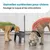 Gamelle pour chien surélevéés, 2 bols acier amovibles, H31cm, Pliable