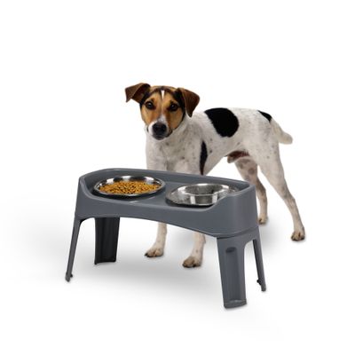 Gamelle pour chien surélevéés, 2 bols acier amovibles, H31cm, Pliable