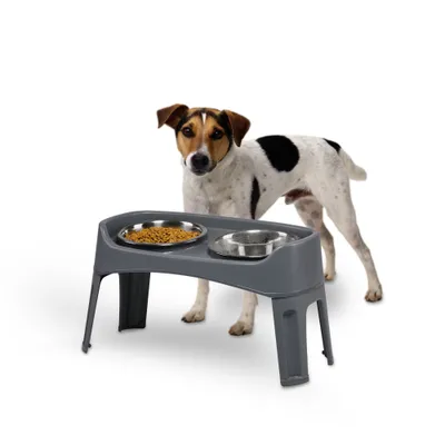 Gamelle pour chien surélevéés, 2 bols acier amovibles, H31cm, Pliable