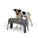 Gamelle pour chien surélevéés, 2 bols acier amovibles, H31cm, Pliable