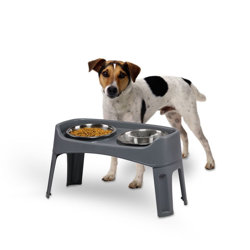 Gamelle pour chien surélevéés, 2 bols acier amovibles, H31cm, Pliable