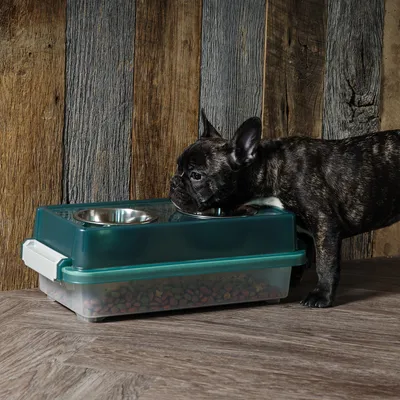 Gamelle Surélevée avec boite à croquette hermétique, 2 bols amovibles Gamelle Surélevée avec boite à croquette hermétique, 2 bols amovibles