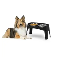 Gamelle pour chien surélevéés, 2 bols acier amovibles, H31cm, Pliable
