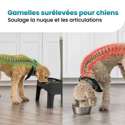 Gamelle pour chien surélevéés, 2 bols acier amovibles, H31cm, Pliable