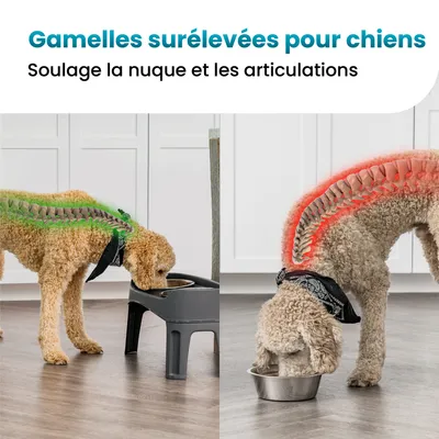 Gamelle pour chien surélevéés, 2 bols acier amovibles, H31cm, Pliable