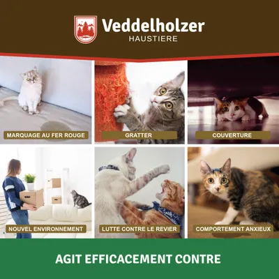 Veddelholzer Relax Cat Phéromones Kit diffuseur de phéromones pour chat com