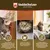 Veddelholzer Relax Cat Phéromones Kit de recharge composé de 3 flacons de 4 Veddelholzer Relax Cat Phéromones Kit de recharge composé de 3 flacons de 4