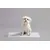 Alaise pour chiens et chiots, protections pour déjections canines Alaise pour chiens et chiots, protections pour déjections canines