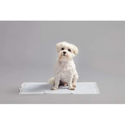 Alaise pour chiens et chiots, protections pour déjections canines Alaise pour chiens et chiots, protections pour déjections canines