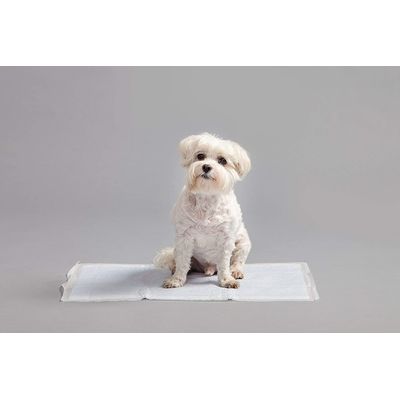 Alaise pour chiens et chiots, protections pour déjections canines