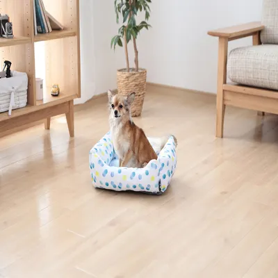 Coussin pour chiot, Panier pour Chien confortable et doux en nylon