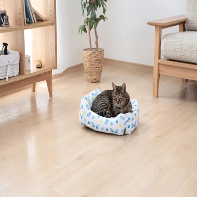 Coussin pour chiot, Panier pour Chien confortable et doux en nylon