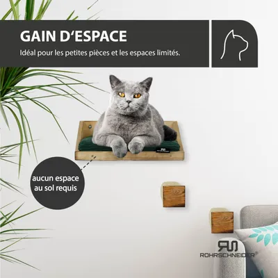 Katzenkletterwand Massiv gefl. Holz + Kissen Cord grün