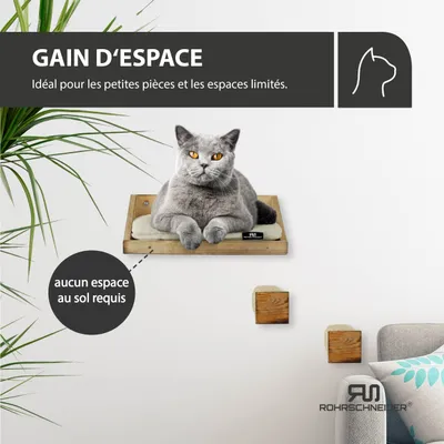 Katzenkletterwand Massiv gefl. Holz + Kissen Cord Dlx beige