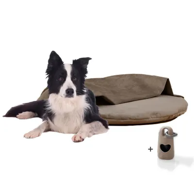 Rohrschneider Coussins de chaise longue Iglu