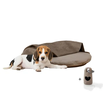 Rohrschneider Coussins de chaise longue Iglu