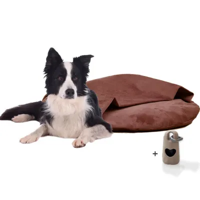 Rohrschneider Coussins de chaise longue Iglu