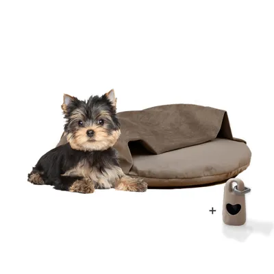 Rohrschneider Coussins de chaise longue Iglu