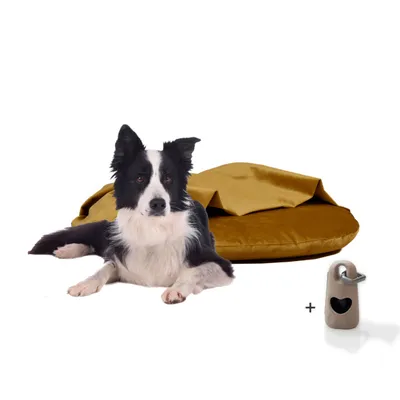 Rohrschneider Coussins de chaise longue Iglu