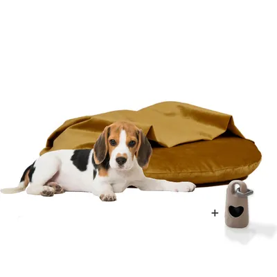 Rohrschneider Coussins de chaise longue Iglu