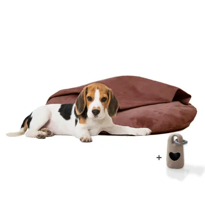 Rohrschneider Coussins de chaise longue Iglu