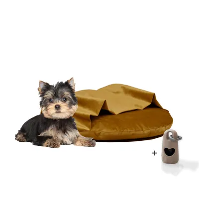 Rohrschneider Coussins de chaise longue Iglu