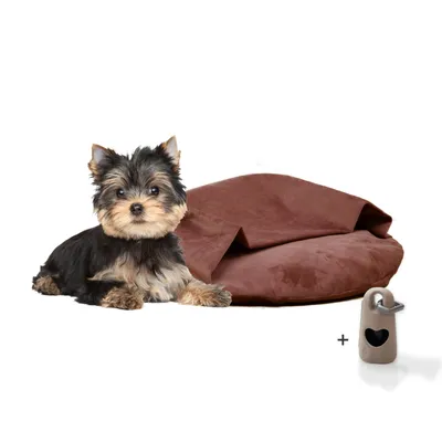 Rohrschneider Coussins de chaise longue Iglu