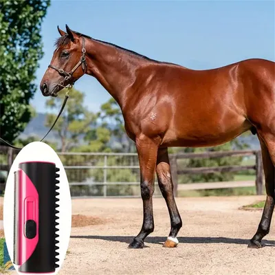 CoolPetGear Brosse & Peigne pour cheval CoolPetGear Brosse & Peigne pour cheval