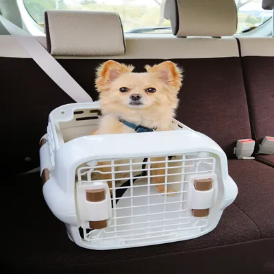Panier de Transport pour Animaux - Solide, Pratique, encoche Ceinture