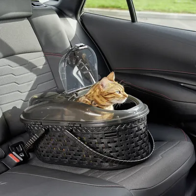 Panier de Transport pour Chat et Petit Animal - Léger, avec Poignées
