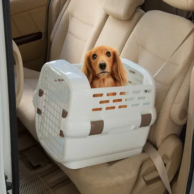 Panier de Transport pour Animaux - Solide, Pratique, encoche Ceinture Panier de Transport pour Animaux - Solide, Pratique, encoche Ceinture