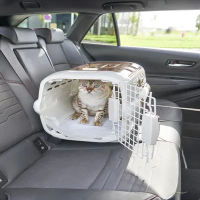Panier de Transport pour Animaux - Solide, Pratique, encoche Ceinture Panier de Transport pour Animaux - Solide, Pratique, encoche Ceinture