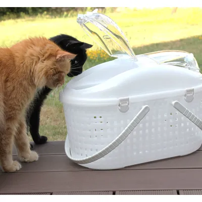 Panier de Transport pour Chat et Petit Animal - Léger, avec Poignées