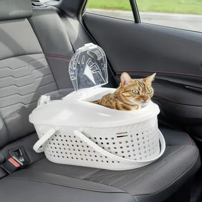 Panier de Transport pour Chat et Petit Animal - Léger, avec Poignées