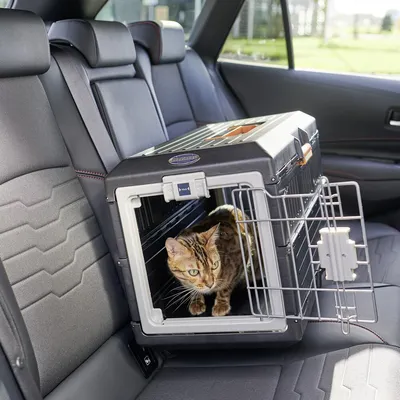 Caisse de Transport Pliable pour Animaux - Léger, Solide et Sécurisé