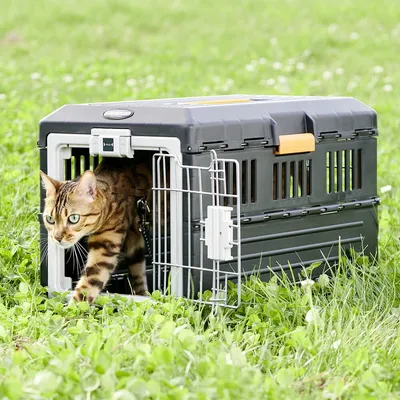 Caisse de Transport Pliable pour Animaux - Léger, Solide et Sécurisé