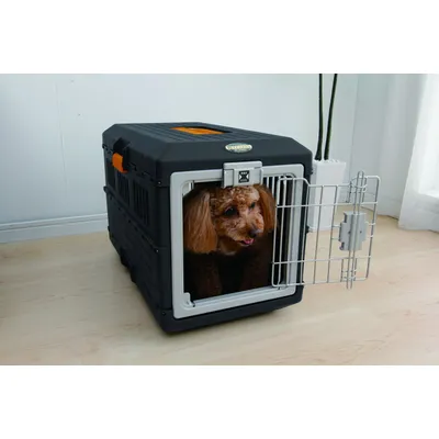 Caisse de Transport Pliable pour Animaux - Léger, Solide et Sécurisé