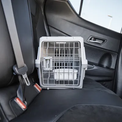 Caisse de Transport pour Chien - Léger, Solide et Sécurisé