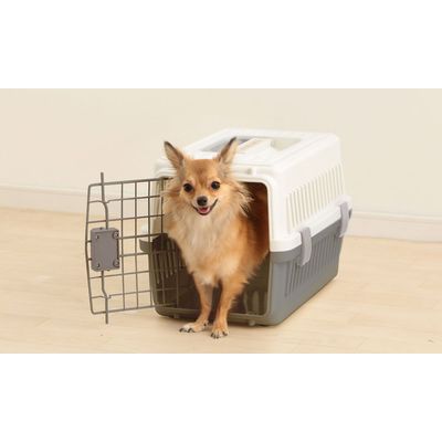 Caisse de Transport pour Chien - Léger, Solide et Sécurisé