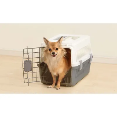 Caisse de Transport pour Chien - Léger, Solide et Sécurisé