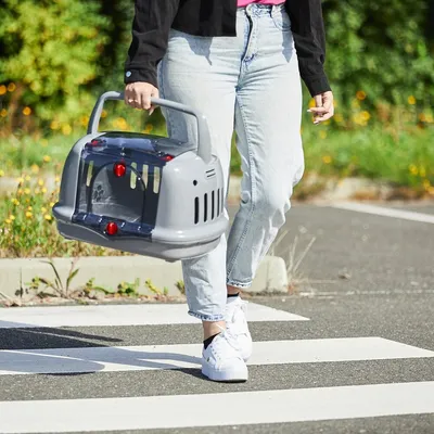 Panier de Transport Léger pour Petits Animaux - Pratique et Sécurisé