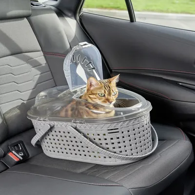 Panier de Transport pour Chat et Petit Animal - Léger, avec Poignées