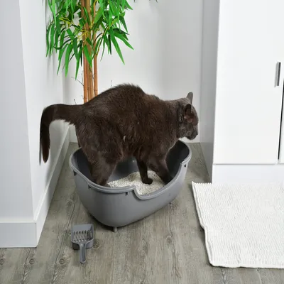 Maison de Toilette pour Chat avec Pelle, Max. 5 kg, Entrée frontale