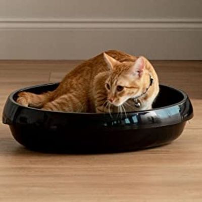 Bac à Litière pour Chat Ouvert avec Pelle - Compact, Facile à Nettoyer