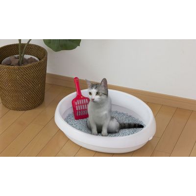 Bac à Litière pour Chat Ouvert avec Pelle - Compact, Facile à Nettoyer